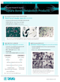 Bone Metabolism 연구용 assay kit